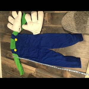 Luigi Costume